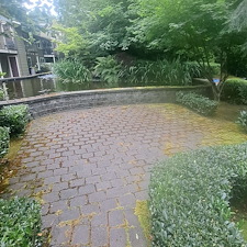 Spring-pressure-washing-for-Kirkland-springs-apartments 43